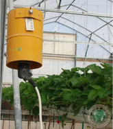 Zolfo evaporatore – L'originale protezione ecologica delle piante